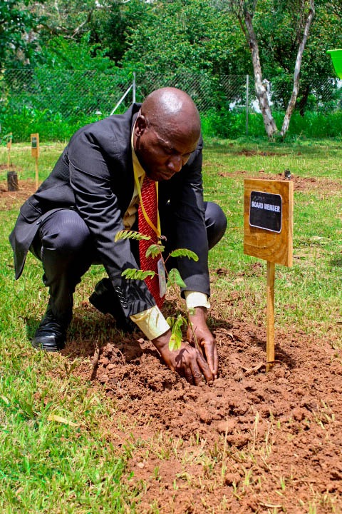 Kamuzu Academy Annual Tree Planting exercise 2025 - Image 16